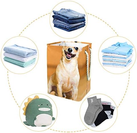 Unicey Komik Köpek Su Geçirmez Katlanır çamaşır sepeti Kova çocuk Odası yatak Odası bebek Kreş için