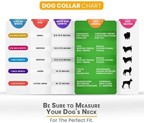 Moose Pet Wear Klasik Köpek Tasması ve Standart Köpek Tasması-ABD'de Üretilen Ayarlanabilir Evcil Hayvan Tasmaları ve Ağır Hizmet