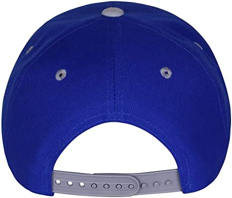 JPAK Kuş Snapback Şapka İşlemeli Beyzbol 2 Ton Kap Güvercin Güvercin